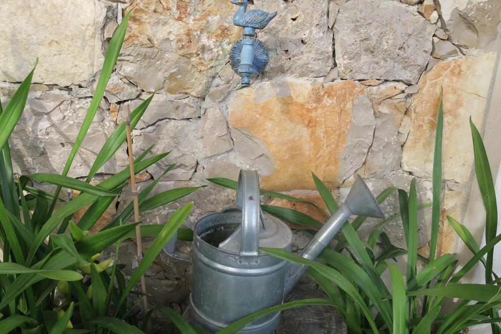 Noz Por Ca... Turismo Em Espaco Rural Alcaria  Dış mekan fotoğraf